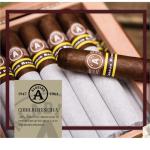 Aladino Corojo Reserva Cigars (52" x 6)