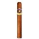 Aladino Corojo Cigars (44" x 5)