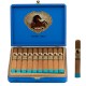Stallone Alazan Habano Cigars (6" x 54)