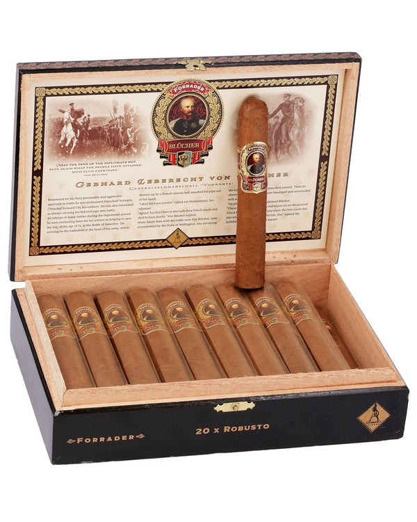 Casdagli Brothers of the Sabre Forrader Robusto 5×50 - cigar13