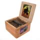 Acid Cigars (5.5" x 50)