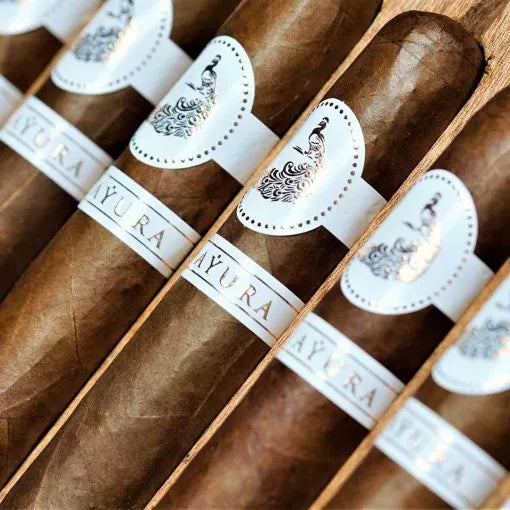 MBombay MQBA Mayura Robusto (5.0" x 54)
