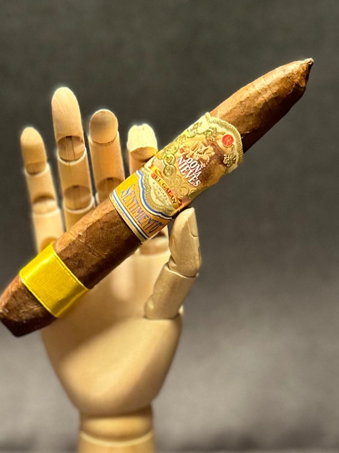 EL GALAN DONA NIEVES SENTIMIENTO - Torpedo Box Pressed - 5 - 3/4 x 66, Bundle/10 - cigar13