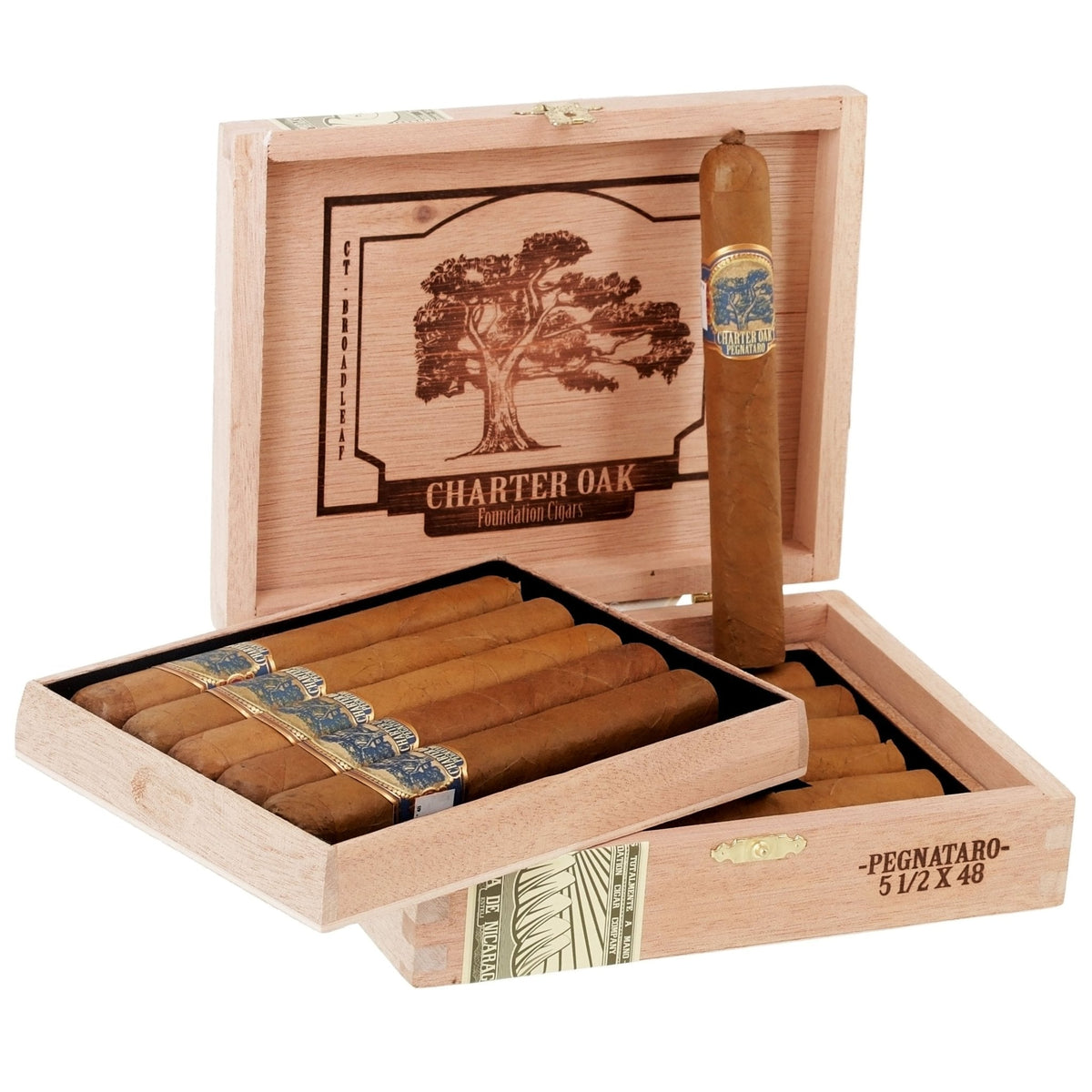 Foundation Charter Oak Pegnataro 5 1/2" x 48 - cigar13