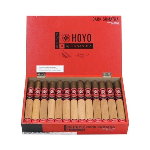 Hoyo La Amistad Dark Sumatra Cigars - Noche - 6 1/2 X 52 - cigar13