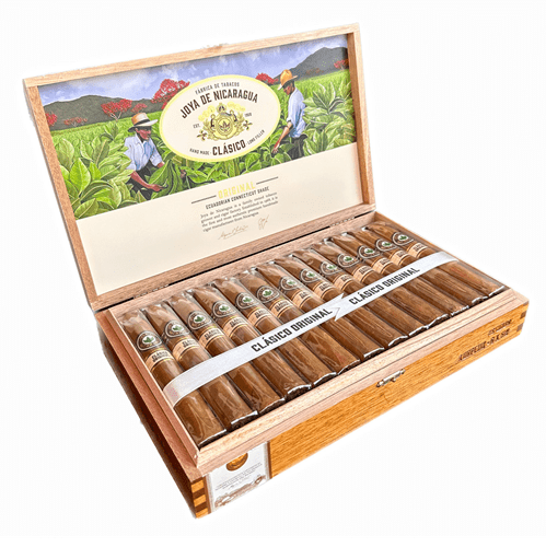 Joya De Nicaragua Clasico Original Cigars - Torpedo - 6x52 - cigar13