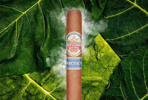 K by Karen Berger Connecticut Cigars - Salomon - Box Pressed - 6x7/8x52 - cigar13