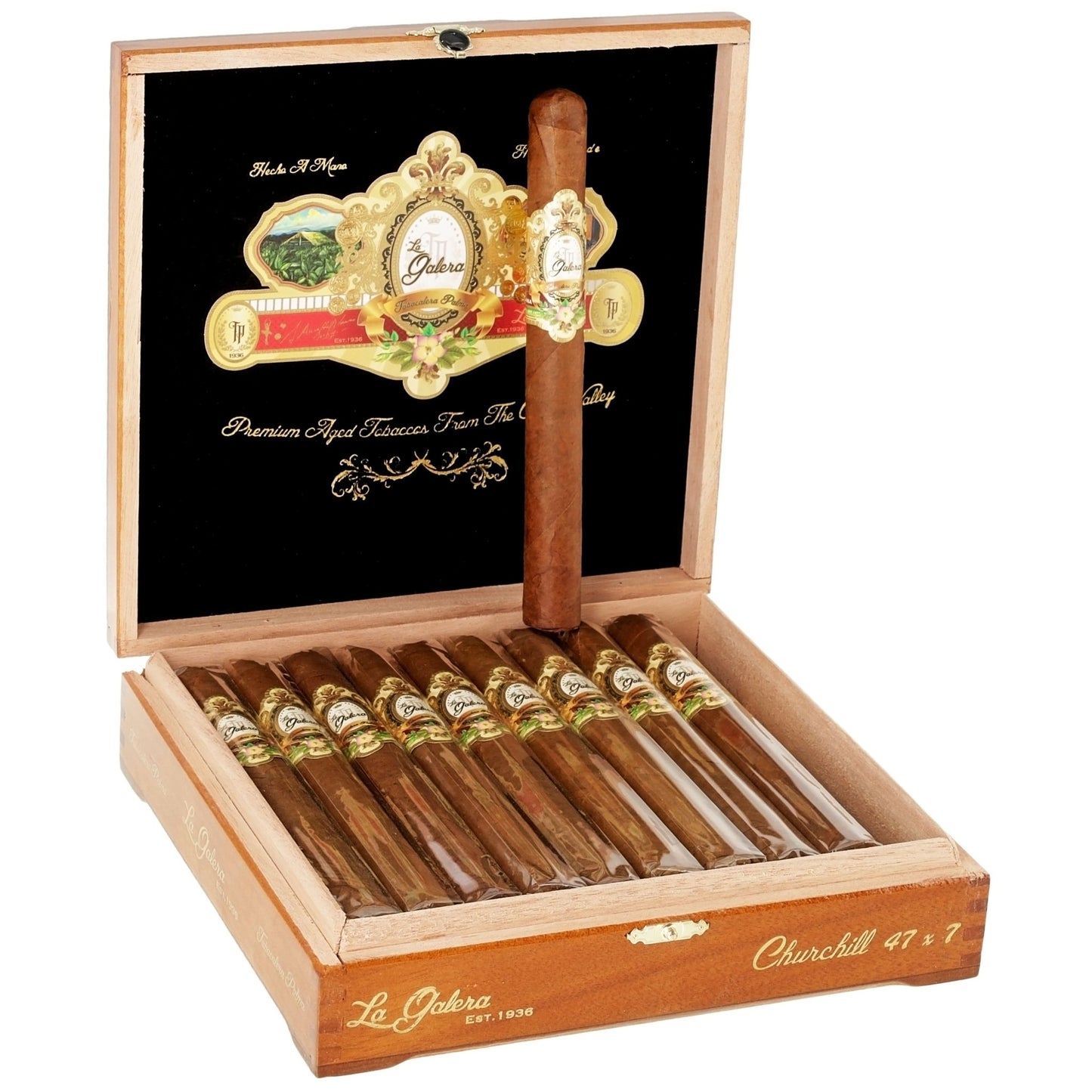 La Galera Habano Cabeza Caracol Churchill 7×47 - cigar13