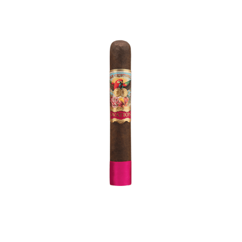 San Cristobal Ovation Cigars - Opulence - 5.5x50 - cigar13