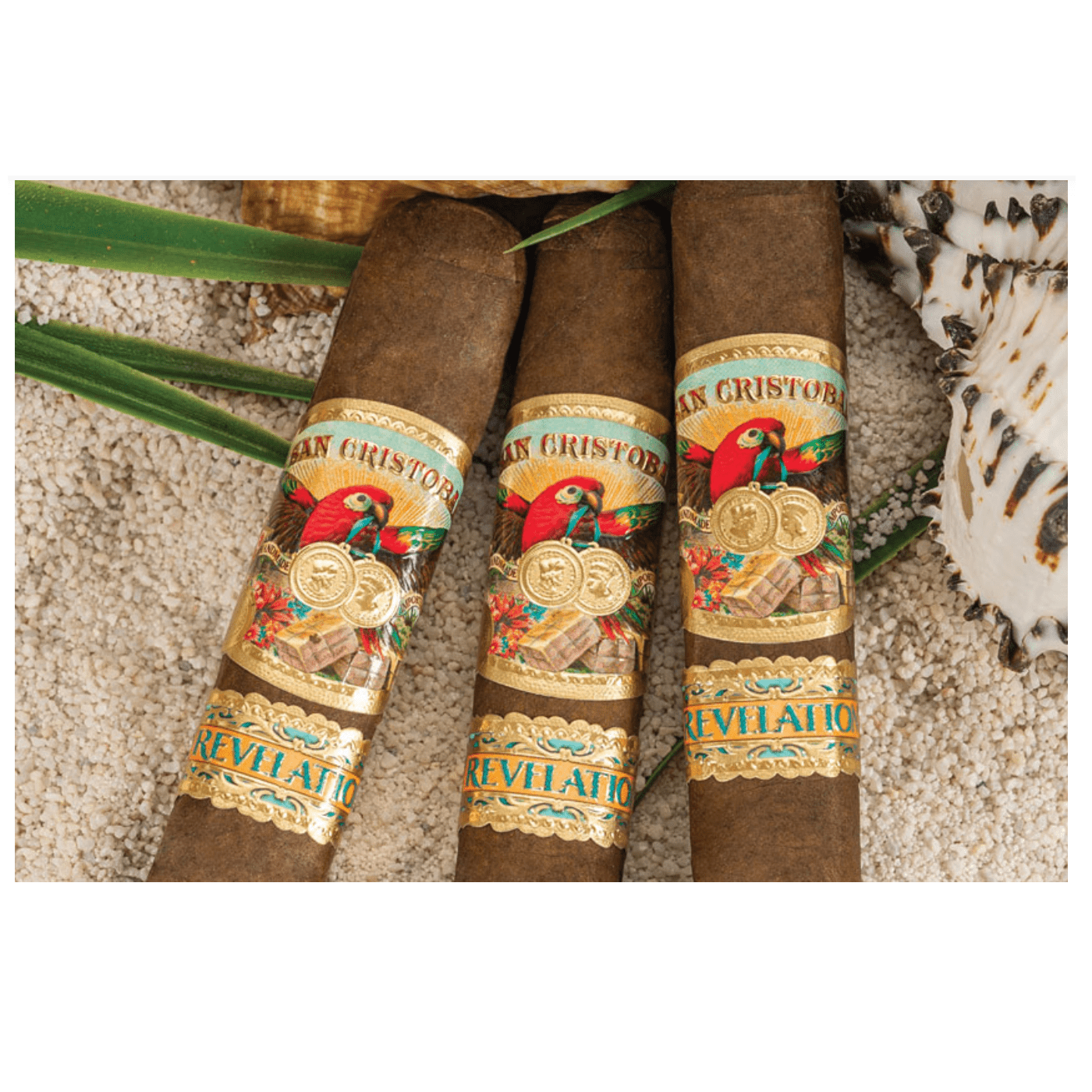 San Cristobal Revelation Cigars - Triumph - 7x50 - cigar13