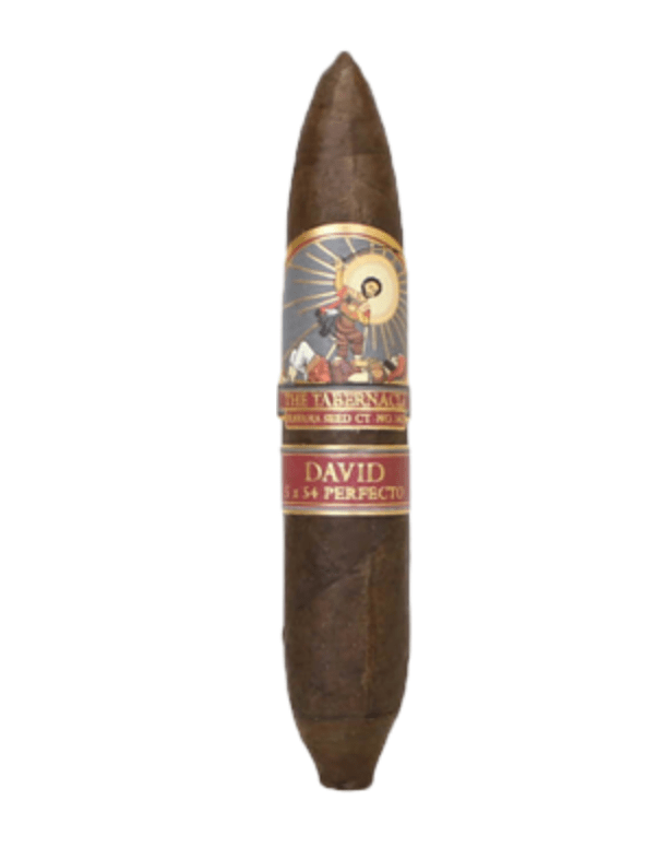 Tabernacle Havana Seed Cigars - David (Perfecto) - 5x54 - cigar13
