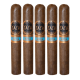 Yaya Bagua Cigars (6" x 54)