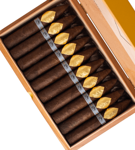 Cavalier Geneve Black II Series Viso Jalapa Petit No. 2 (4.75" x 52)