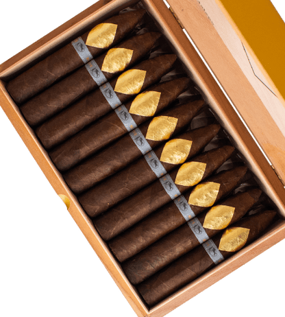 Cavalier Geneve Black II Series Viso Jalapa Petit No. 2 (4.75" x 52)