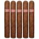 Tatuaje Miami Regios (5.5" x 50)