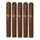 Aladino Classic Cigars (6" x 50)