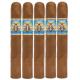 El Gueguense By Foundation Cigar (5.5" x 50)