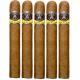 Aladino Corojo Cigars (40" x 4)