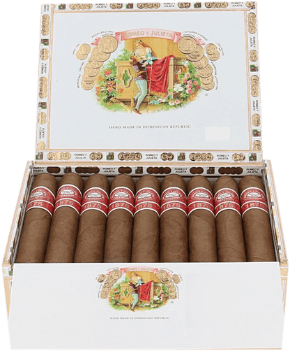 1875 by Romeo Y Julieta 1875 Cigars - Exhibicion 3 - 50 X 6 - cigar13