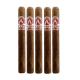 Aladino Cameroon Cigars (43" x 6)