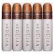 Asylum 13 Oblongata Cigars (80" x 6)