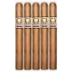 Asylum Insidious Connecticut Cigars (6" x 44)