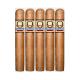 Asylum Insidious Connecticut Cigars (5" x 50)