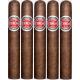 Eiroa Cbt Maduro Cigars (60" x 6)