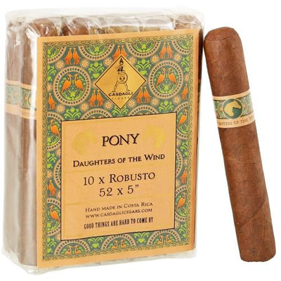Casdagli Daughters of The Wind The Pony (5.0
