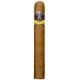 Aladino Corojo Cigars (40