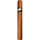 Tatascan Connecticut Cigars (50