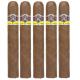 Aladino Corojo Cigars (60" x 6)