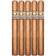Asylum Insidious Connecticut Cigars (7" x 48)