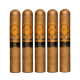 Perdomo 10Th Anniversary Champagne Cigars (5" x 54)