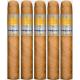 Cle Connecticut Cigars (40" x 4)