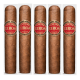 Eiroa Classic Cigars (48" x 4)