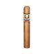 Asylum Insidious Connecticut Cigars (5" x 50)