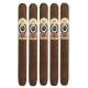 Ashton Estate Sun Grown (Esg) Cigars (6.625" x 48)