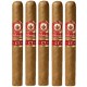 Joya De Nicaragua Antano Connecticut Cigars (6" x 50)