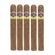 Aladino Corojo Cigars (50" x 6)