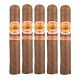 La Aurora 1903 Cameroon Cigars (5" x 50)