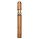 Asylum Insidious Connecticut Cigars (6" x 44)