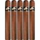 Tatascan Connecticut Cigars (60" x 6)