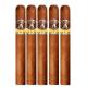 Aladino Corojo Cigars (44" x 5)