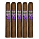 Super Fly By Oscar Valladares Maduro Cigars (6.5" x 60)