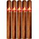 Tatascan Habano Cigars (50" x 6)