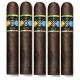 Cao Bx3 Cigars (6" x 60)