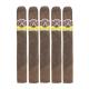 Aladino Maduro Cigars (50" x 6)