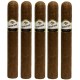 Sacrificio El Caballo Cigars (6" x 60)