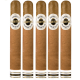 Ashton Classic Connecticut Cigars (6" x 50)